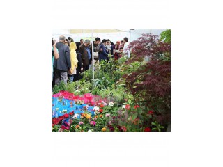 نوزدهمین نمایشگاه بین المللی گل و گیاه و باغبانی