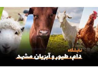نمایشگاه بین المللی دامطیور آبزیان و صنایع وابسته مشهد