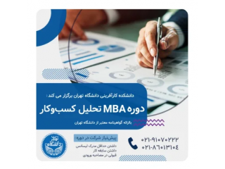 دوره MBA تحلیل کسب و کار دانشگاه تهران